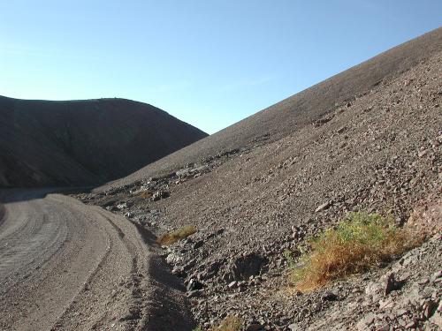 S. sitiens Cerro Quimal
