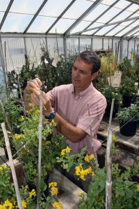 Roger Chetelat in greenhouse