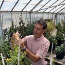 Roger Chetelat in greenhouse